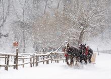 91137-R<br>Snowy Sleigh Ride