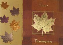 96035-R<br>Thanksgiving Shimmer