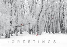AA0122-Q<br>Winter's Special Visitors