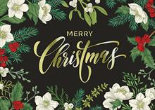 AA0124-Q<br>Merry Christmas Roses