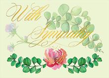 AS2507-Q<br>Eucalyptus Sympathy