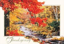 1237-P<br>Thanksgiving Leaves of Color Over a Stream