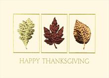 1316-R<br>Autumn Splendor