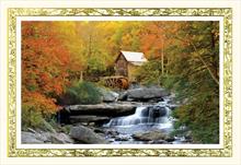 2956-P<br>Thanksgiving Autumn's Beauty