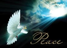 3541-P<br>Peace dove