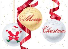 3553-N<br>Merry Christmas Ornaments