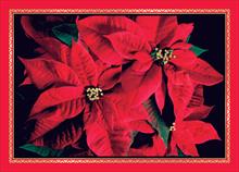 3764-P<br>Holiday Red Poinsettia