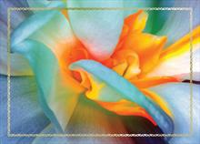 3776-P<br>Holiday in Paradise