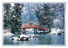 3818-P<br>Season of Serenity