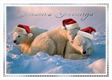 3934-P<br>Polar Friends