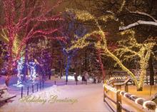 4123-S<br>Sparkling City Holiday Lights