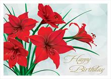 4153-N<br>Birthday Amaryllis Flowers