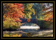 4163-P<br>Autumnal Serenity