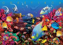 4164-P<br>Under the Sea!